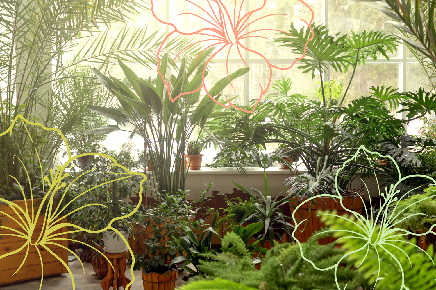 Summer Survival Guide: Keeping Your Plants Happy and Healthy in the Heat