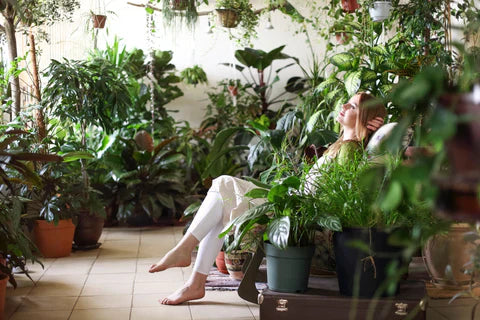 Winter Care for Your Indoor Jungle: Essential Tips for Thriving Plants