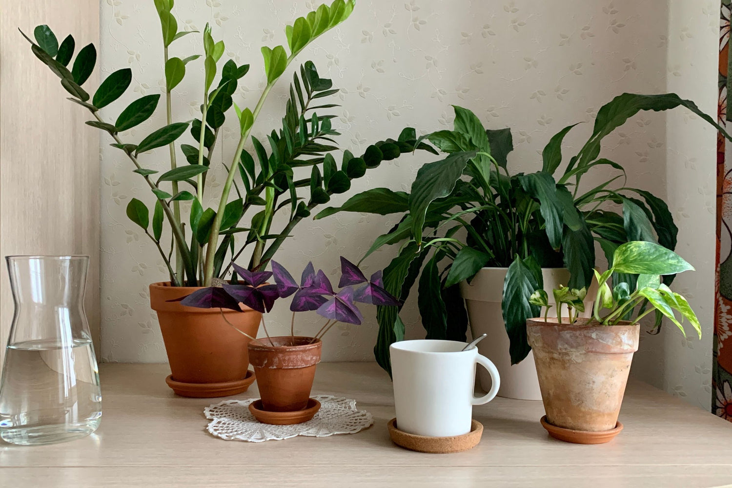 All Plants