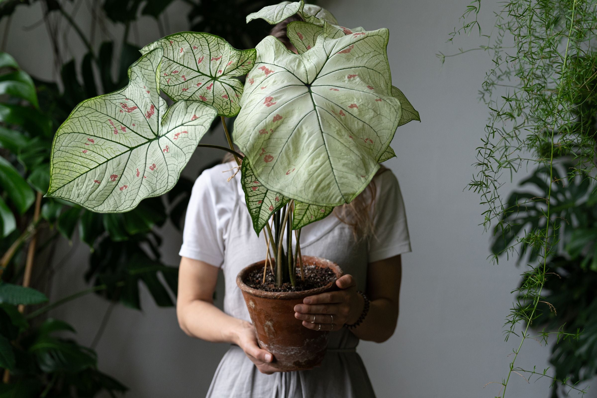 Bratty (Difficult) Plants