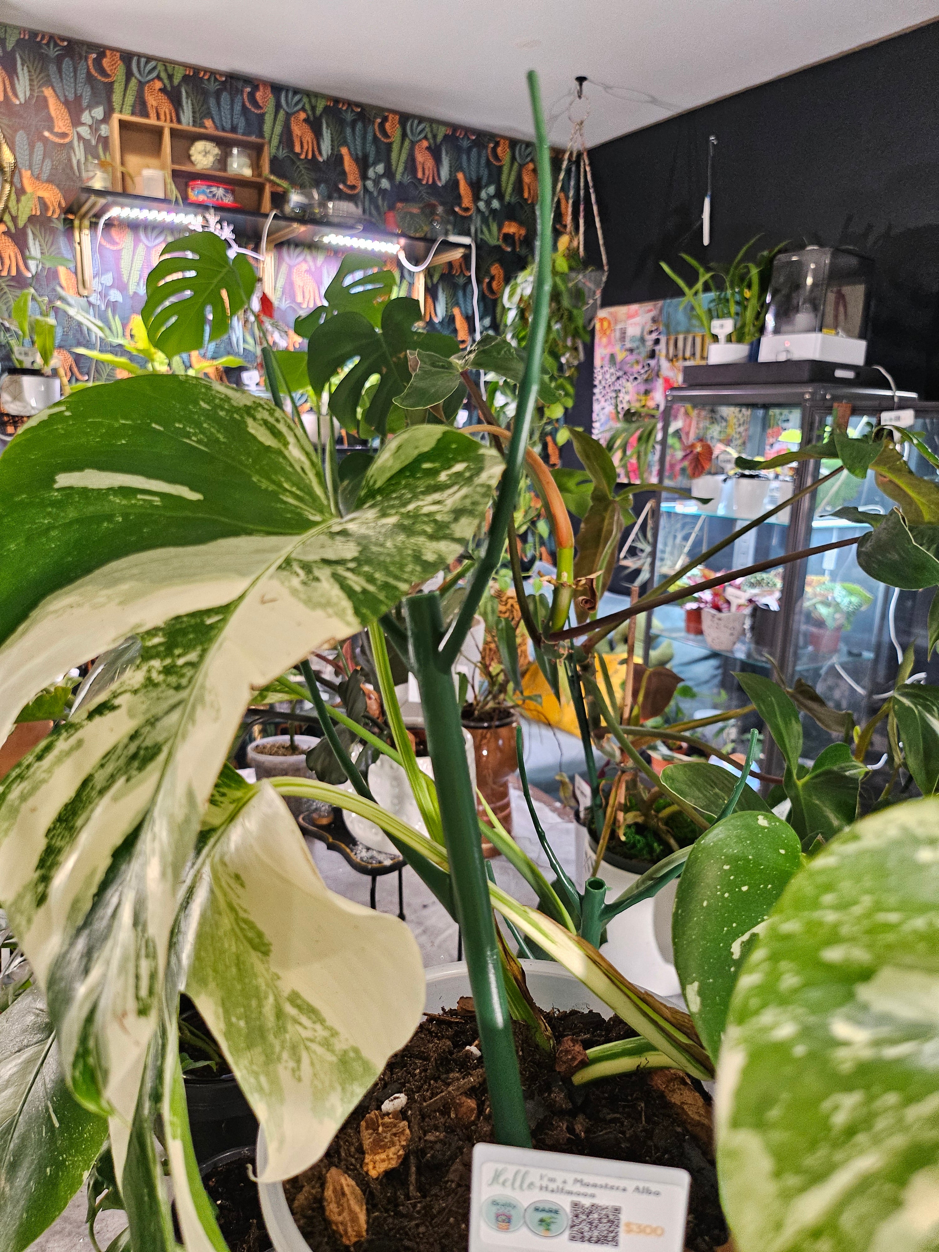 Stackable Plant Support Stakes, 17" Dark Green