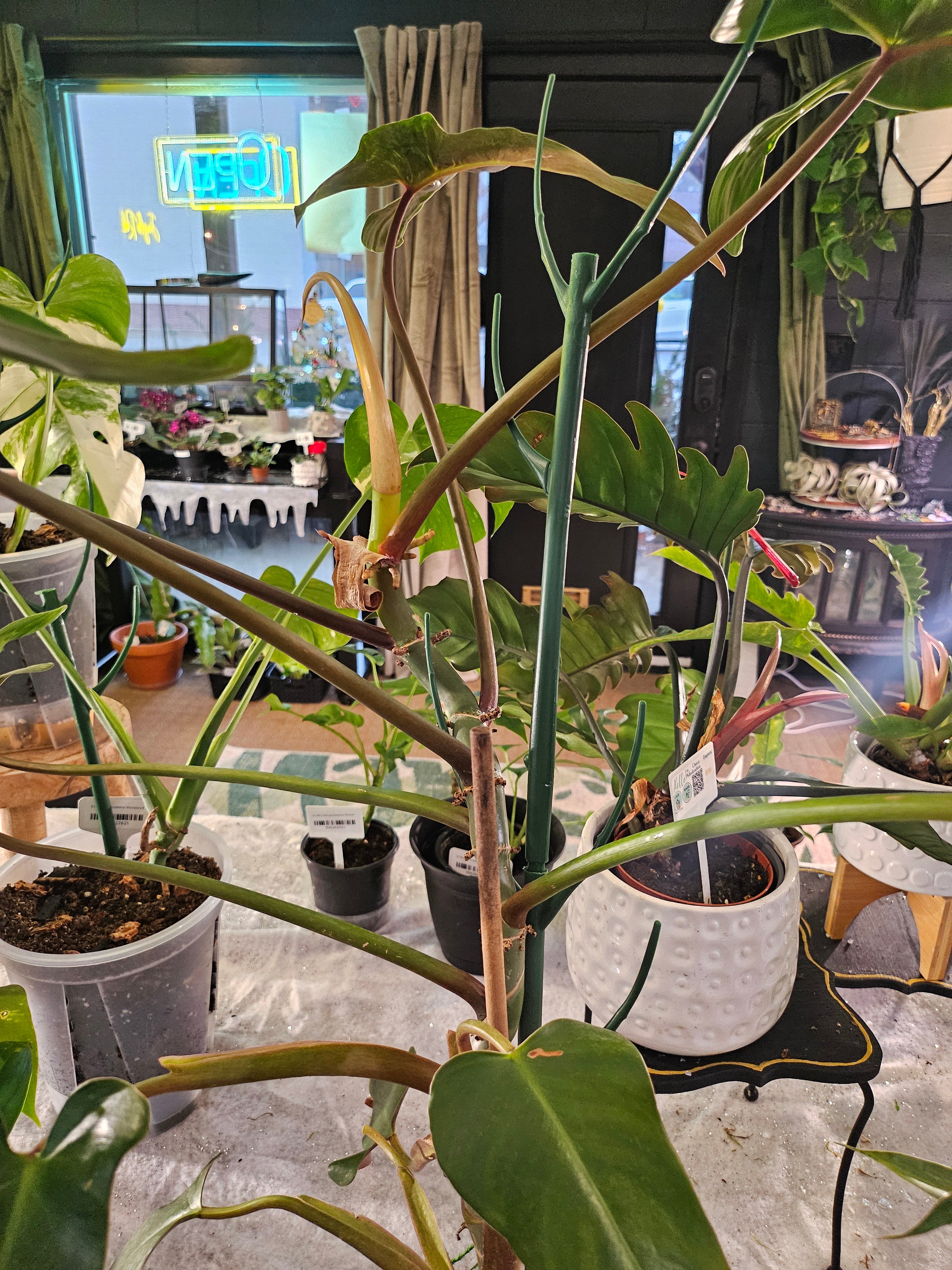 Stackable Plant Support Stakes, 17" Dark Green