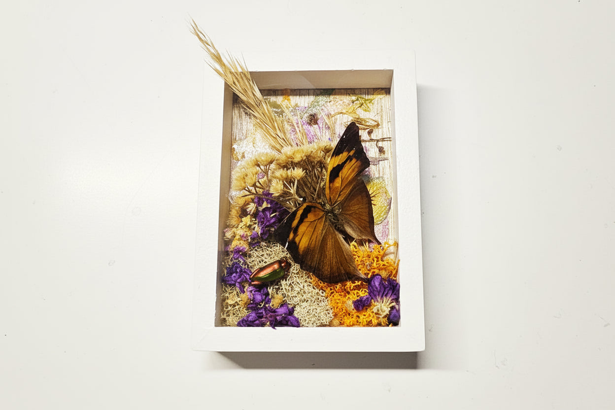 Nature shadow boxes featuring preserved flowers, moss, reeds, butterflies, and insects in 3.5"–5" standing frames. One-of-a-kind botanical curiosity decor.