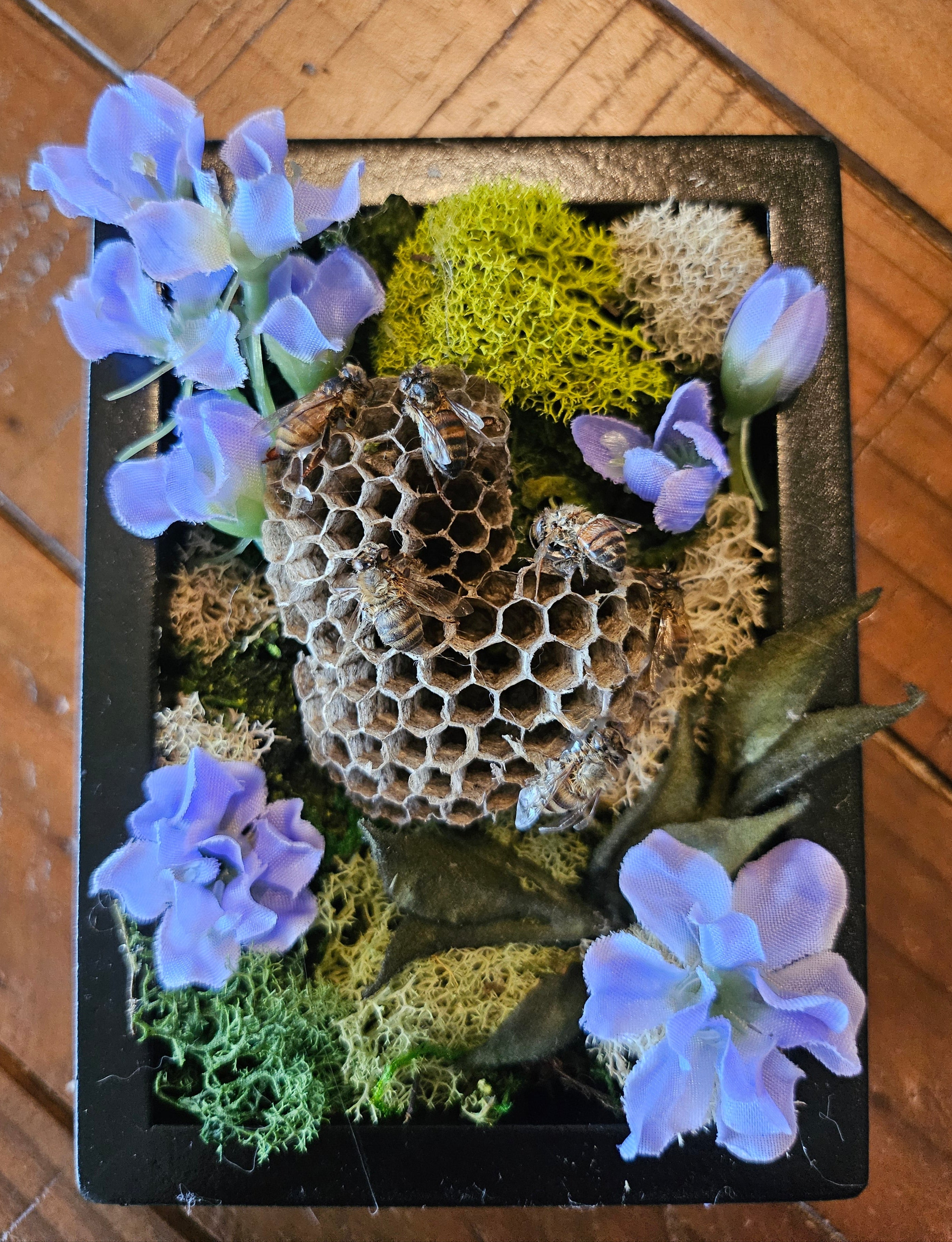Reclamation Relics are 3.5" x 5" taxidermy shadow boxes with moss, flowers, bees, skulls, and wasp nests—haunting miniatures of nature&