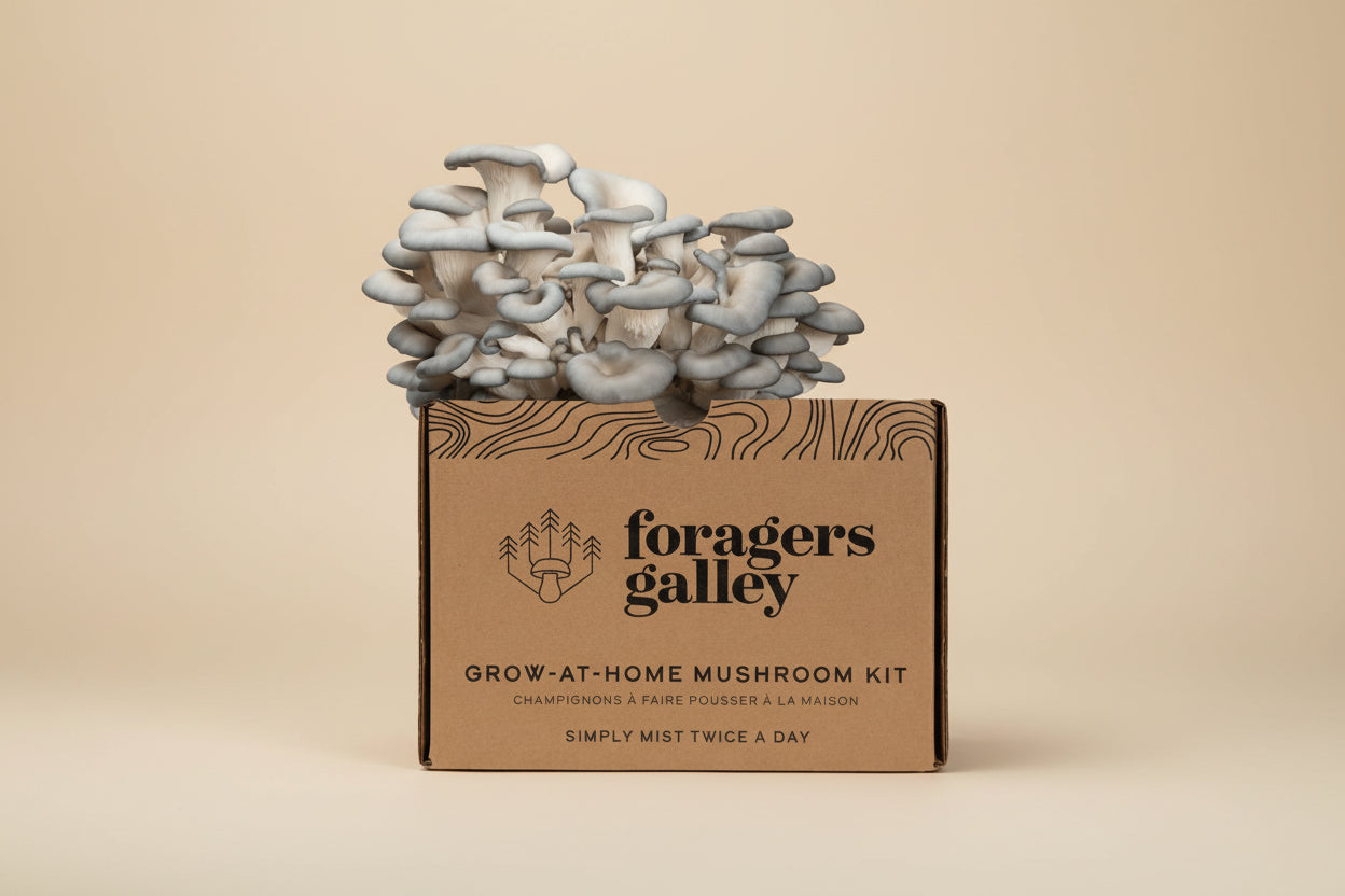 Grow Blue Oyster mushrooms at home with this easy, high-yield kit. Includes a 6 lb block for abundant harvests, rich umami flavor, and multiple flushes.