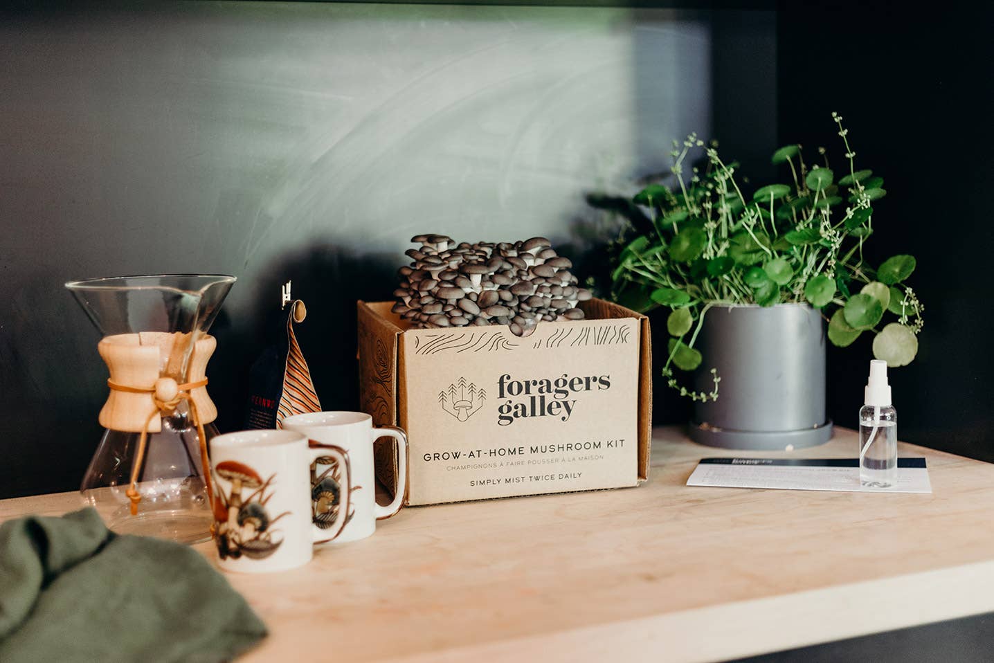 Grow Blue Oyster mushrooms at home with this easy, high-yield kit. Includes a 6 lb block for abundant harvests, rich umami flavor, and multiple flushes.