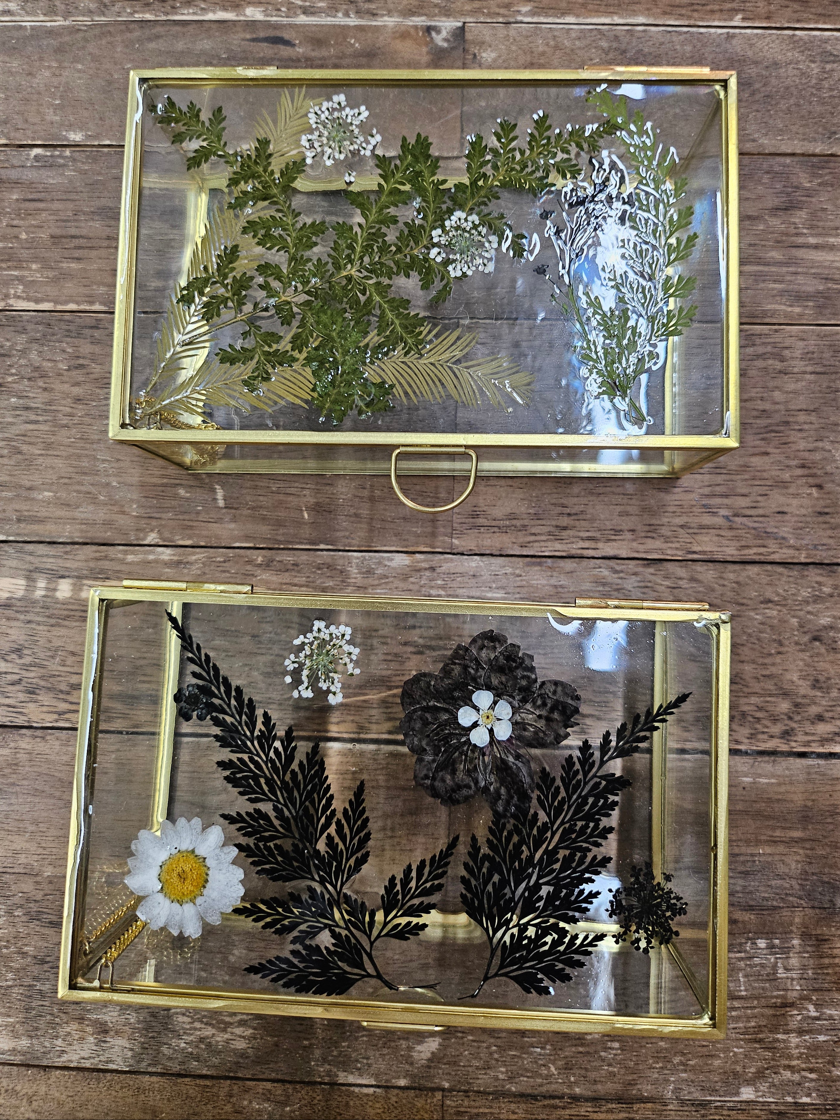 Elegant 6”x4” glass and metal display box with pressed flowers for jewelry, botanicals, and keepsakes. Perfect for showcasing small treasures in a modern, timeless style.
