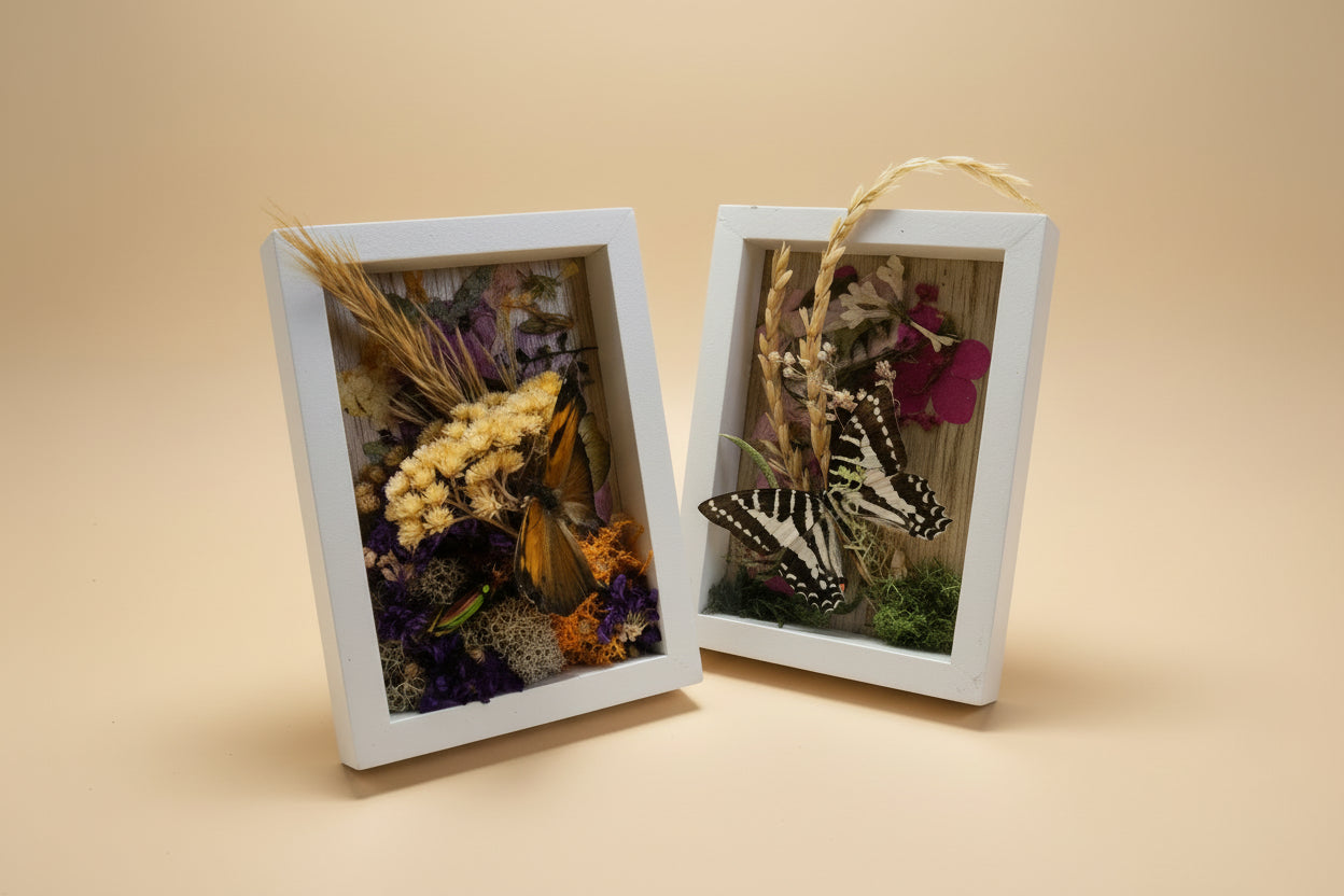 Nature shadow boxes featuring preserved flowers, moss, reeds, butterflies, and insects in 3.5"–5" standing frames. One-of-a-kind botanical curiosity decor.