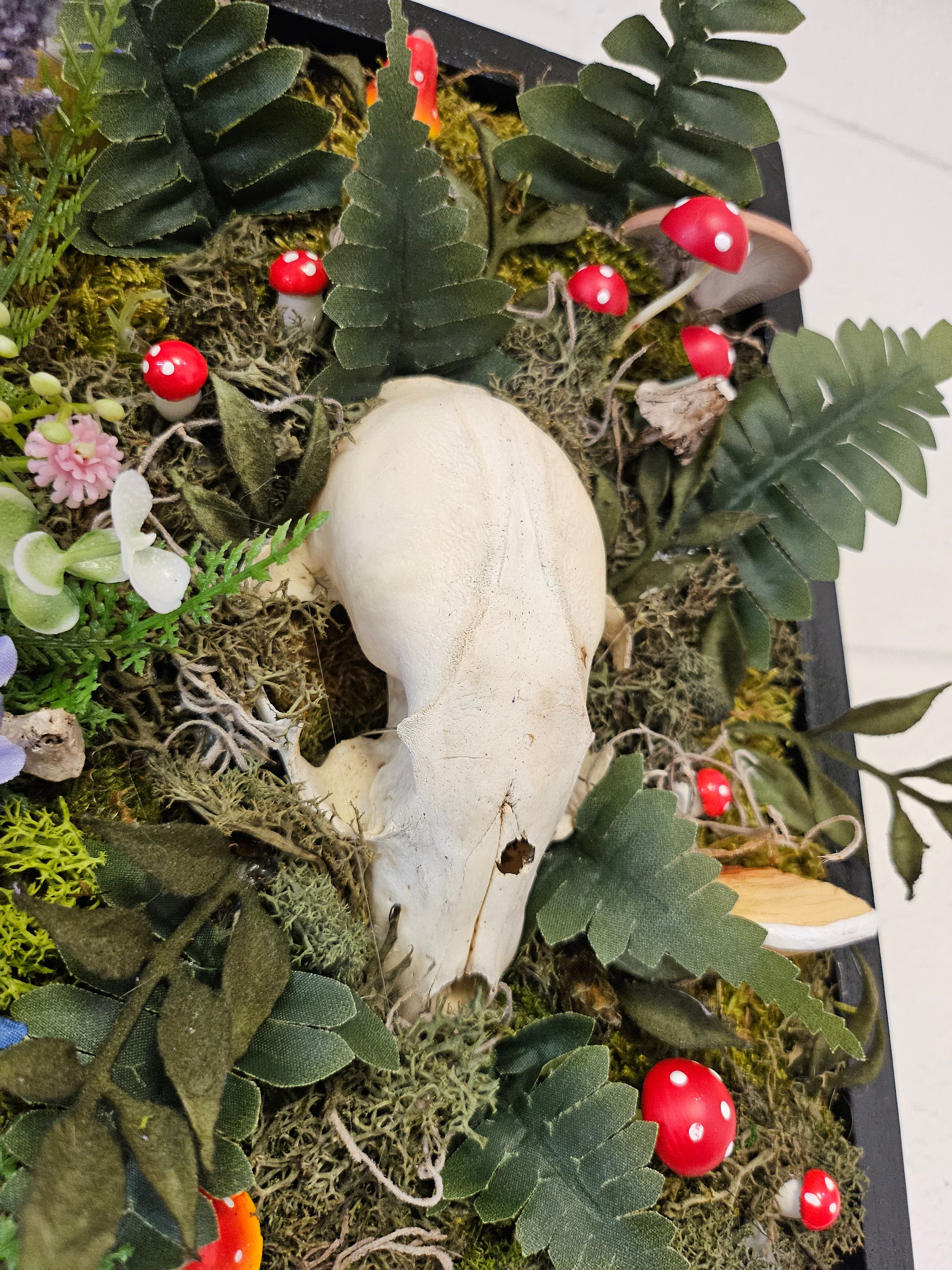 art installation featuring three raccoon skulls surrounded by flowers, mushrooms, and trinkets. Framed in sleek black wood, it symbolizes love, memory, and legacy, blending natural beauty with timeless storytelling. Low-maintenance and visually striking.