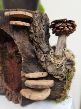 This Hand-Carved Owl & Mushroom Wood Spirit Planter in solid walnut features intricate carved owl and pinecone mushroom details. 100% handmade, each piece is unique and perfect for home decor or garden. The natural walnut grain and artisanal craftsmanship add rustic charm, making it a standout decorative piece for any space.