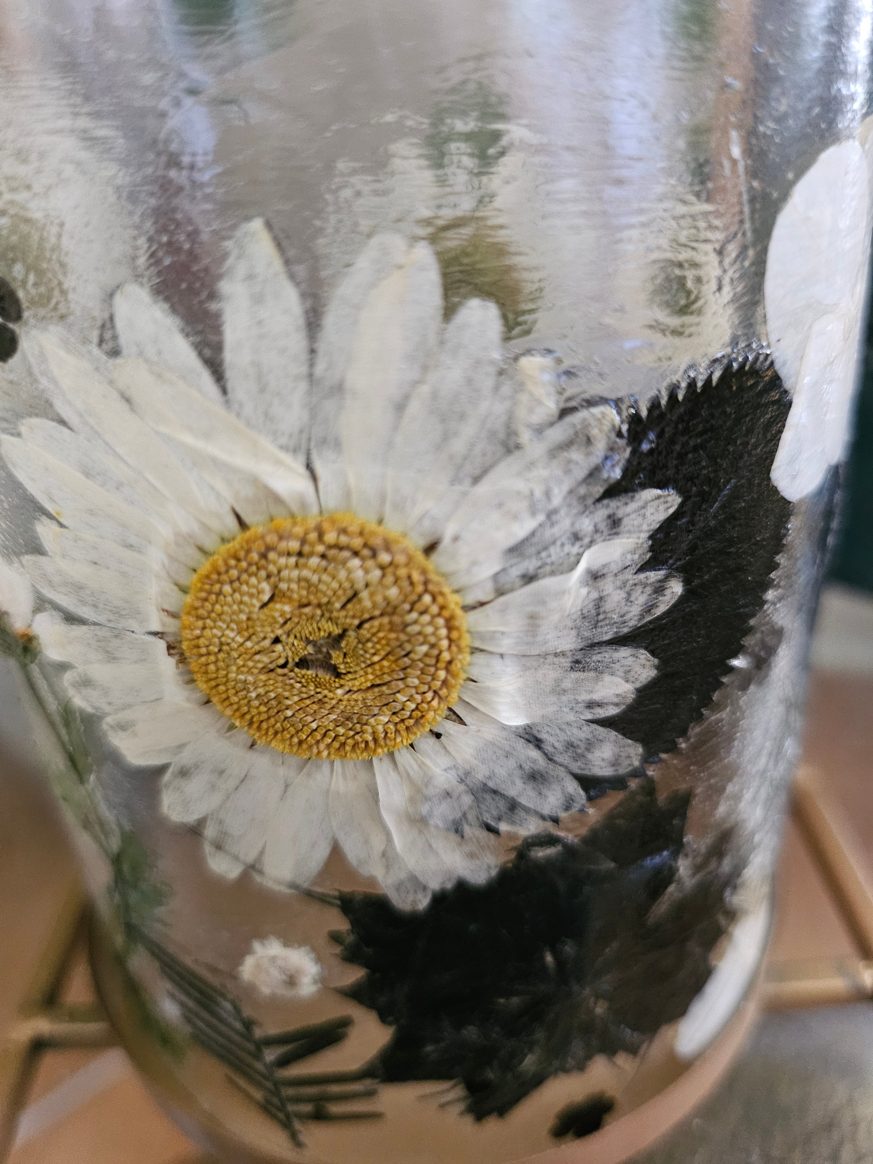 Fairy Pressed Flower Lantern with gold frame & glass panels glows with soft candlelight through real black & white flowers. 12" tall, perfect for spa or gift.