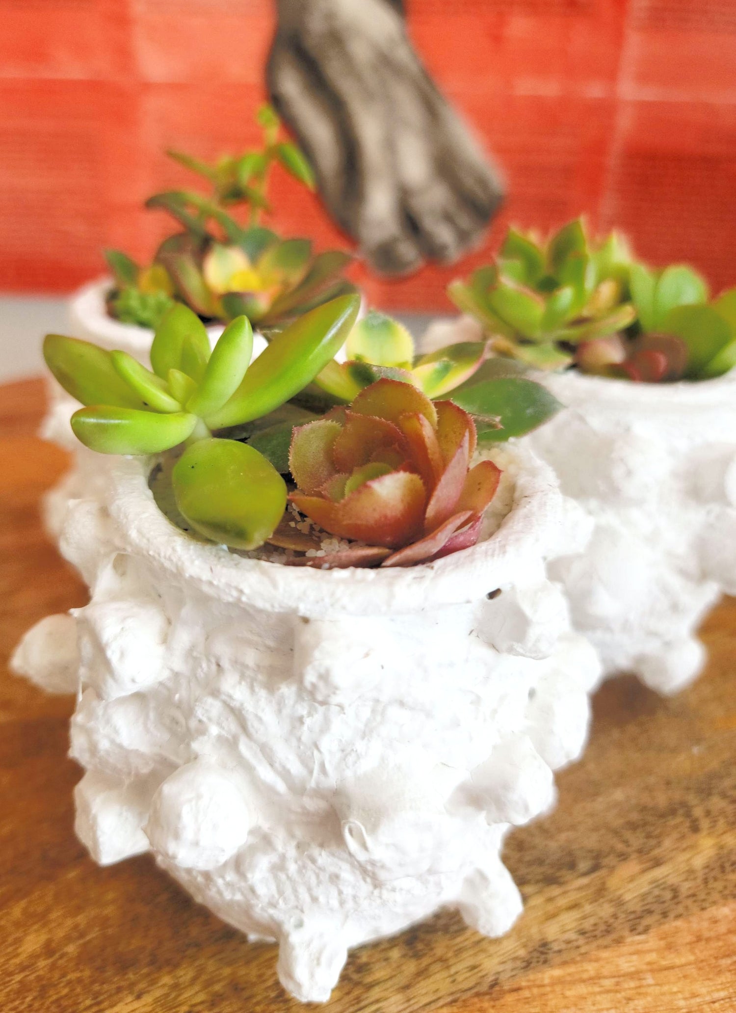 Elevate your home decor with this one-of-a-kind upcycled, handcrafted Small Planter. Made from reclaimed materials, each piece features a unique textured finish and comes in 4 finishes: Black, White, Sand, and Light Pink. Available with or without a plant, it&