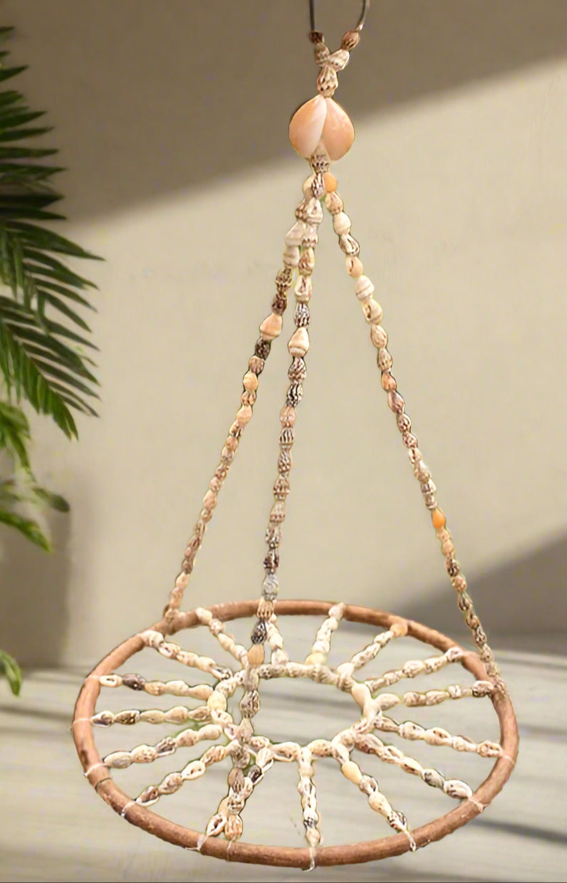 Handmade seashell hanger for medium to large air plants like Xerographica and Harrisii. Coastal charm meets boho style. Plant not included. Indoor use.
