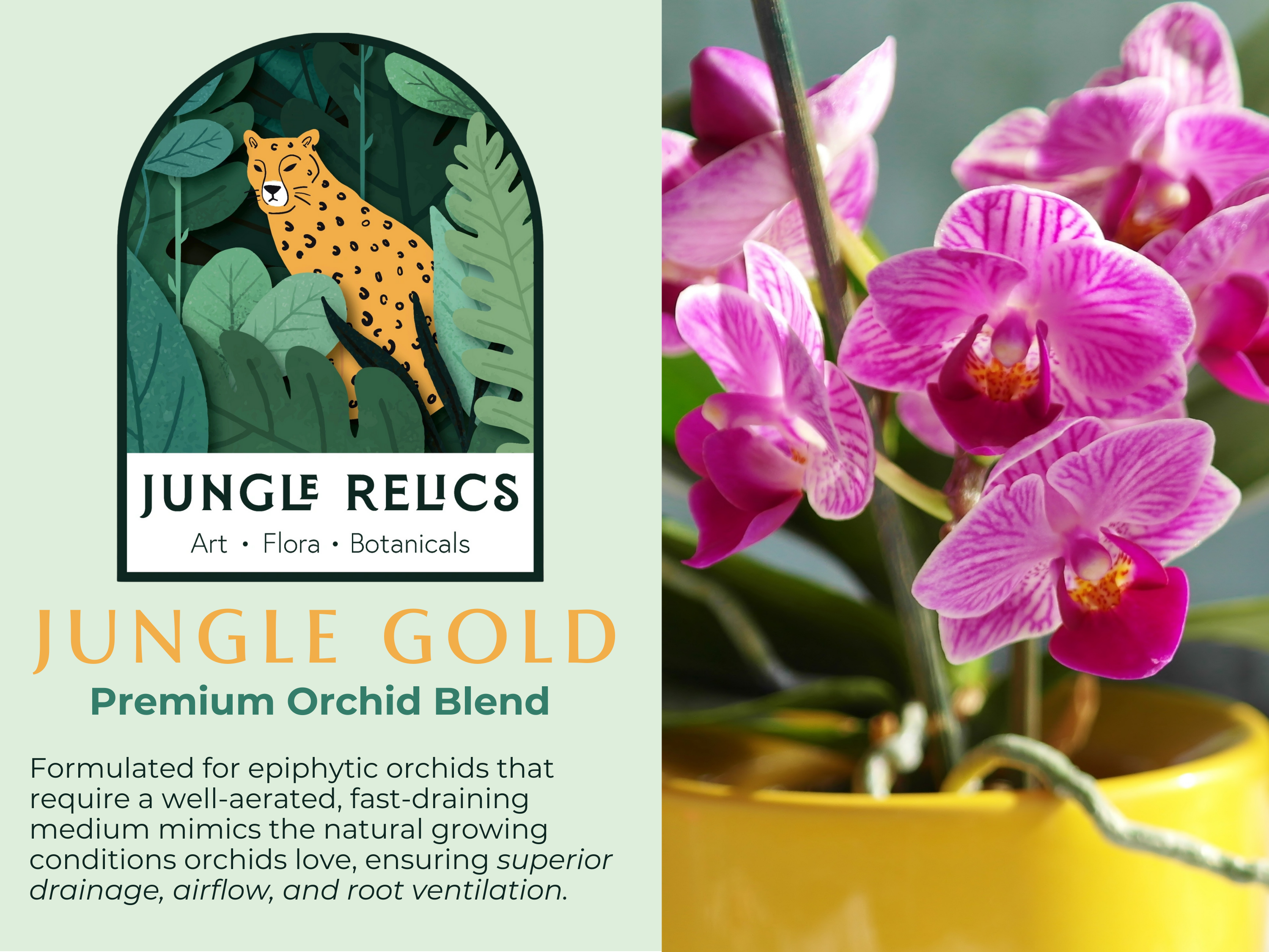 Jungle Gold Orchid Blend is the ultimate mix for epiphytic orchids! Made with fir bark, hardwood charcoal, perlite, and LECA, it provides optimal drainage, airflow, and moisture balance. Perfect for Phalaenopsis, Cattleya, and more. Prevents root rot and supports healthy growth. Hand-mixed in Idaho, eco-friendly, and chemical-free!