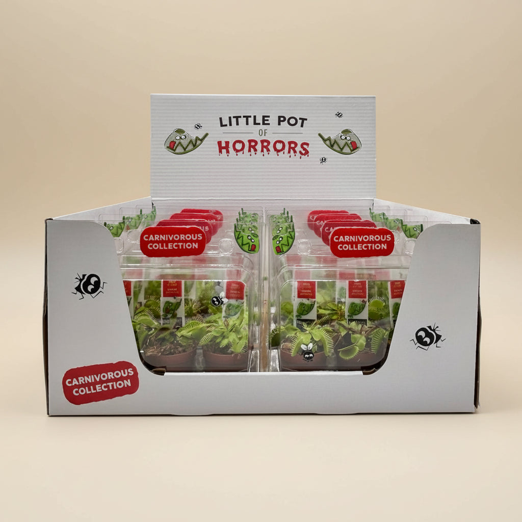 Little Pot of Horrors carnivorous plant collection featuring Venus Flytraps, Nepenthes & Pitcher Plants. Unique living bug catchers for plant lovers