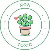 Non toxic plant