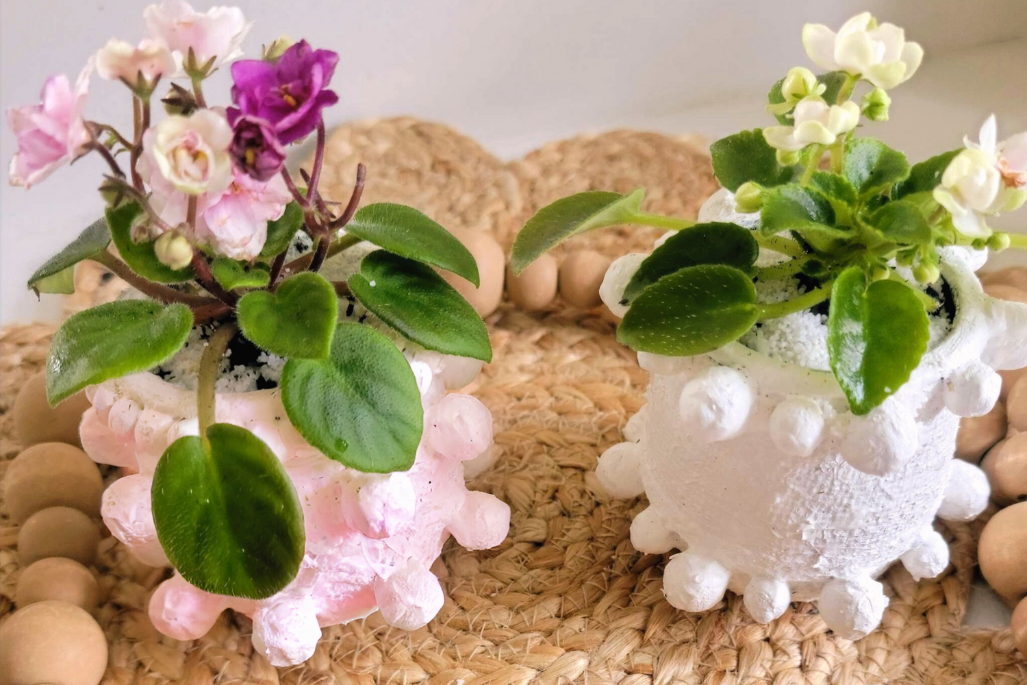 Elevate your home decor with this one-of-a-kind upcycled, handcrafted Small Planter. Made from reclaimed materials, each piece features a unique textured finish and comes in 4 finishes: Black, White, Sand, and Light Pink. Available with or without a plant, it&