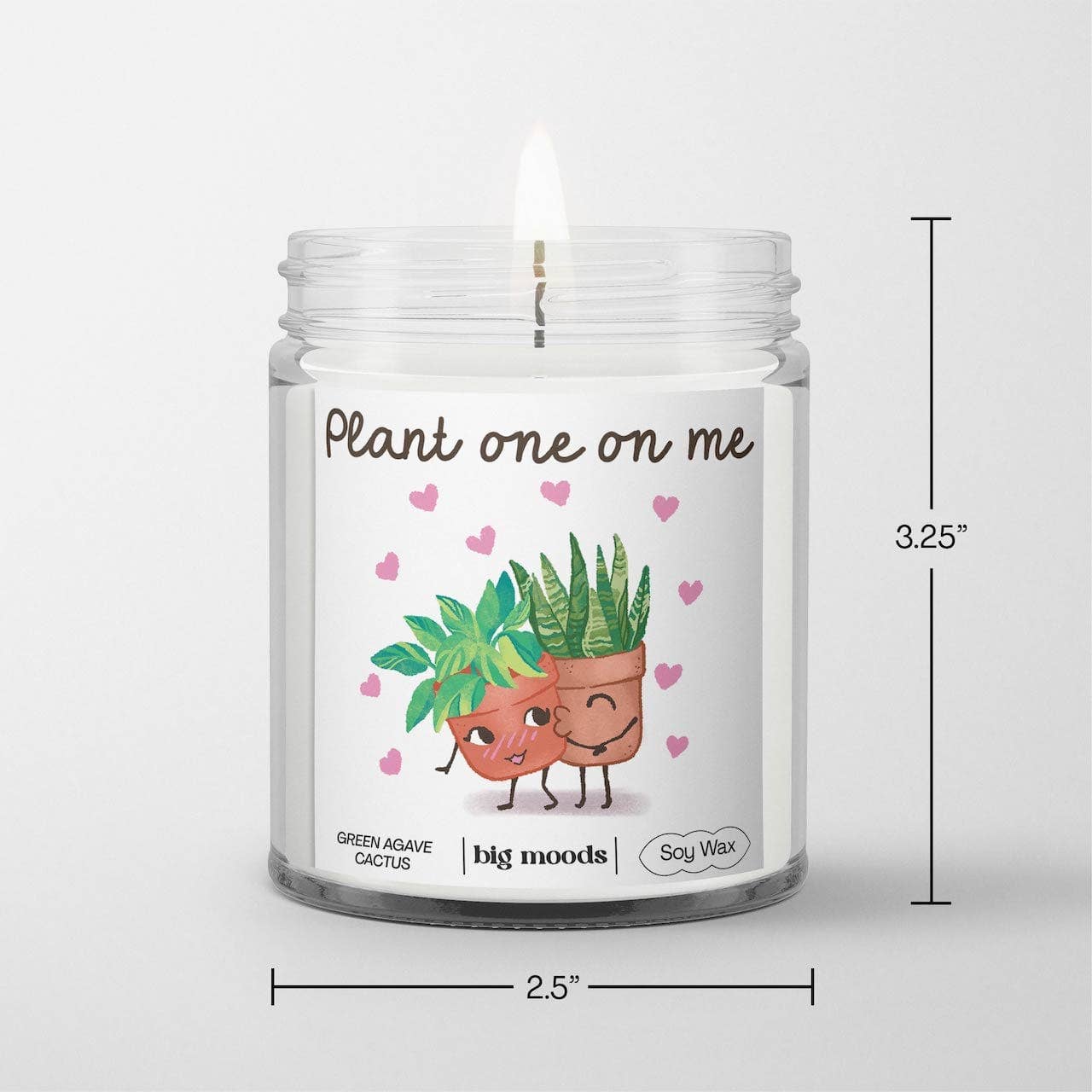 Plant One On Me: A fresh, spa-like blend of cactus flower, agave & dewy leaves in a 5oz soy candle. Vegan, eco-friendly, and hand-poured for 30–40 hours of bliss.