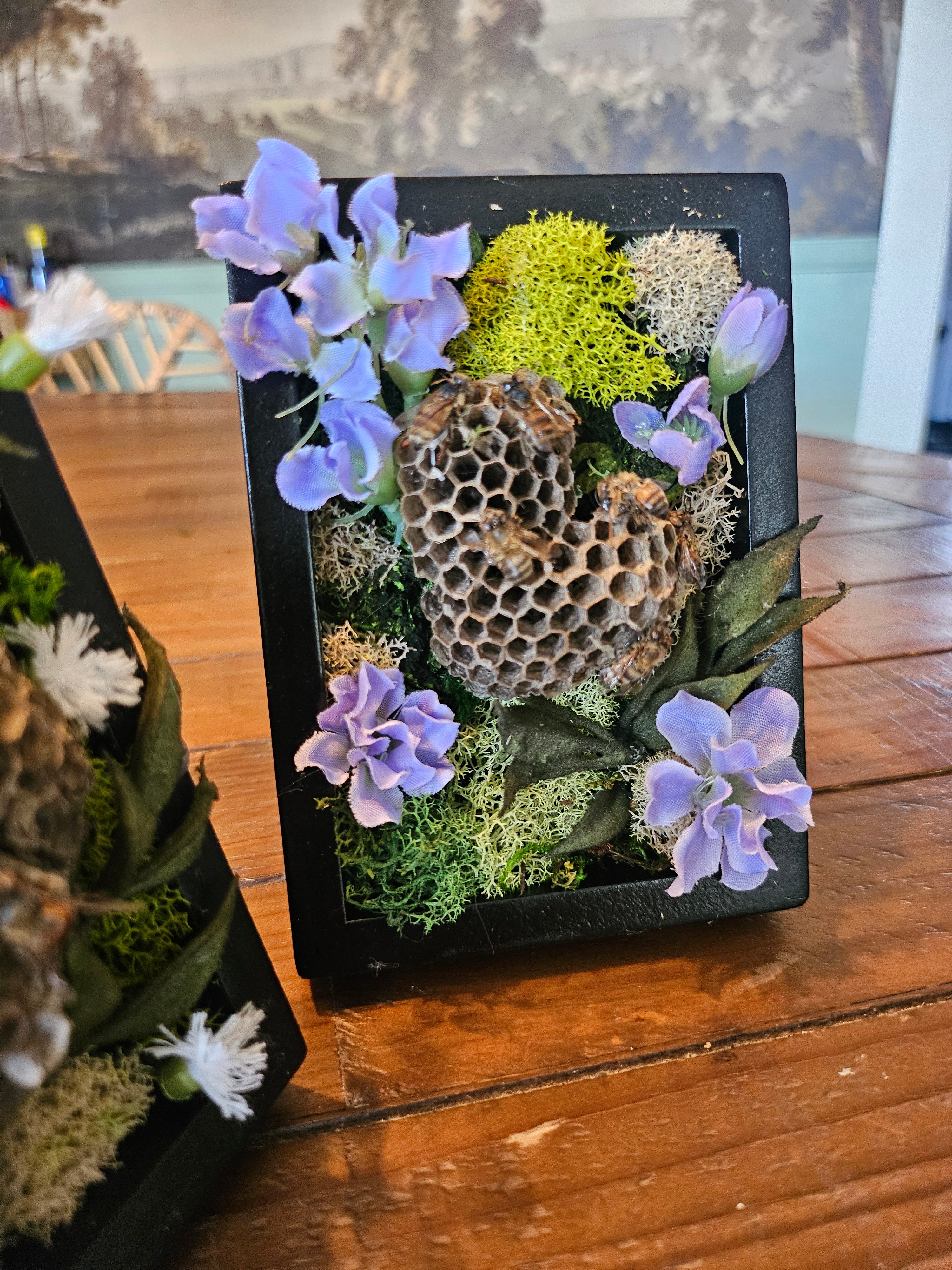 Reclamation Relics are 3.5" x 5" taxidermy shadow boxes with moss, flowers, bees, skulls, and wasp nests—haunting miniatures of nature&