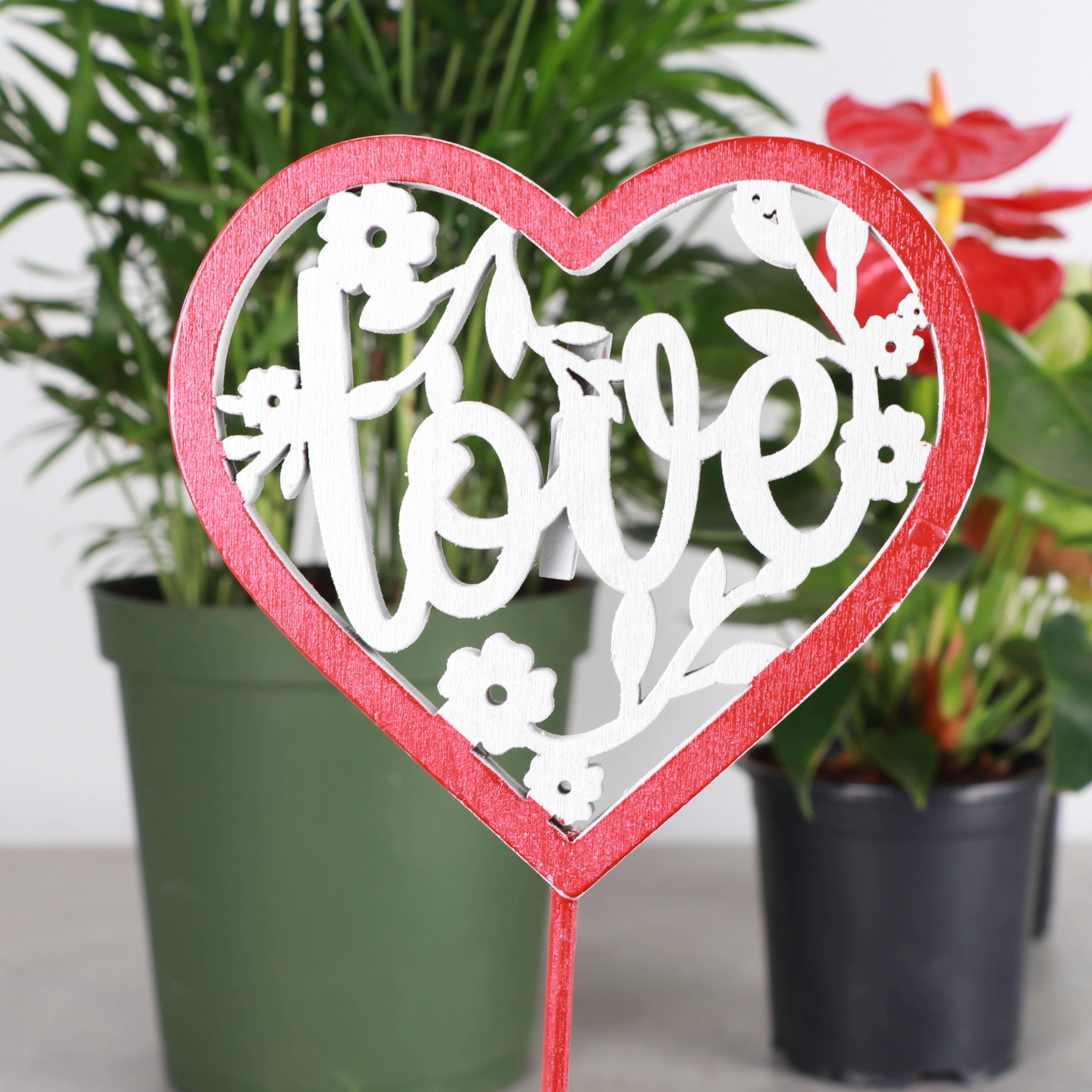 Wooden heart plant picks with built-in clip for cards or notes. Perfect finishing touch for houseplant gifts. Trim-to-fit 18" stake. No plants included.