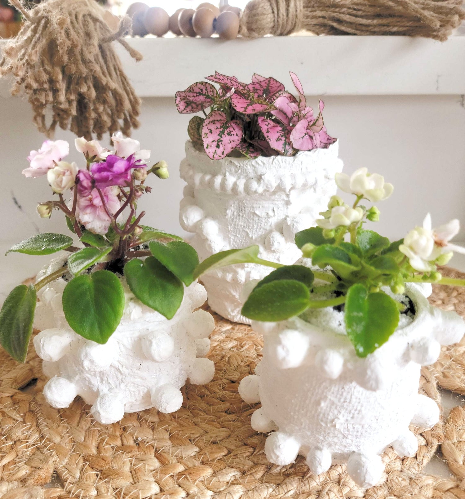Elevate your home decor with this one-of-a-kind upcycled, handcrafted Small Planter. Made from reclaimed materials, each piece features a unique textured finish and comes in 4 finishes: Black, White, Sand, and Light Pink. Available with or without a plant, it&