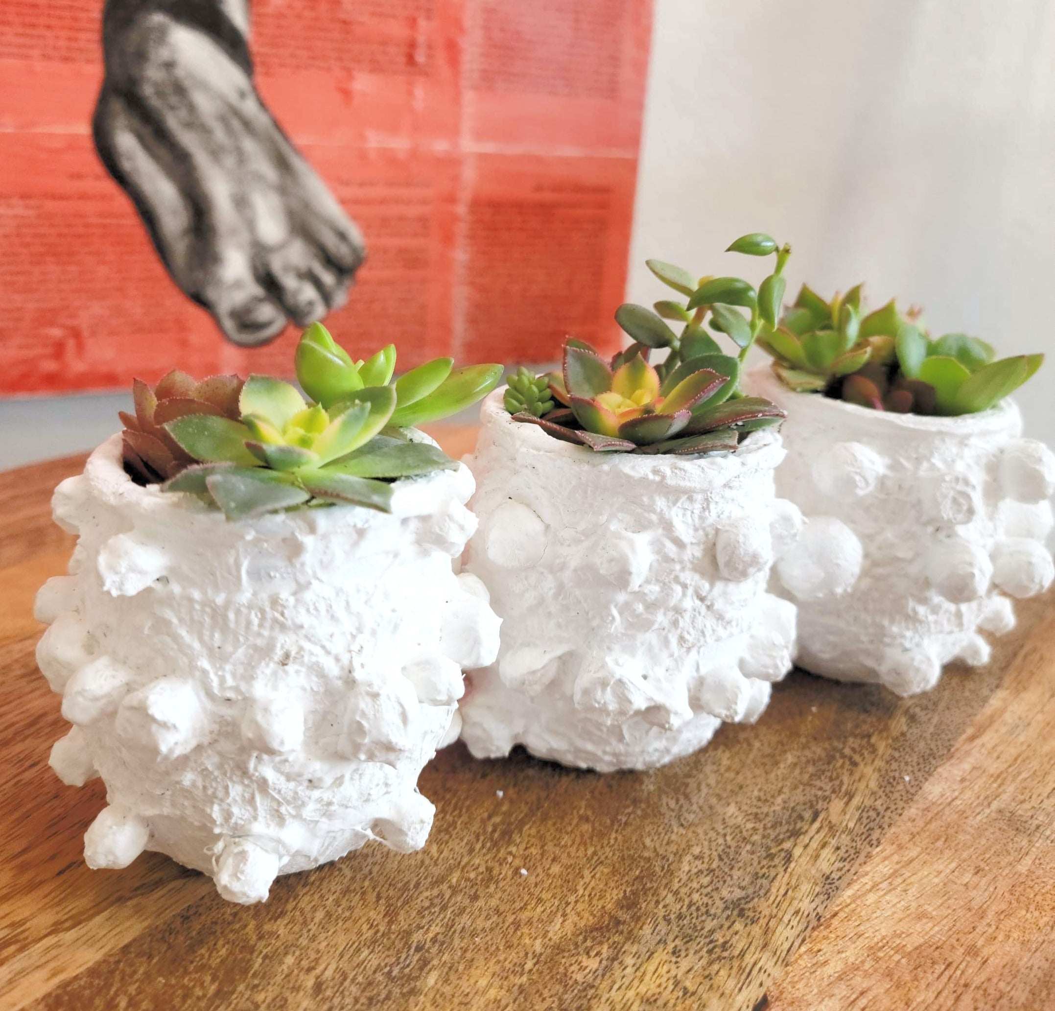 Elevate your home decor with this one-of-a-kind upcycled, handcrafted Small Planter. Made from reclaimed materials, each piece features a unique textured finish and comes in 4 finishes: Black, White, Sand, and Light Pink. Available with or without a plant, it&
