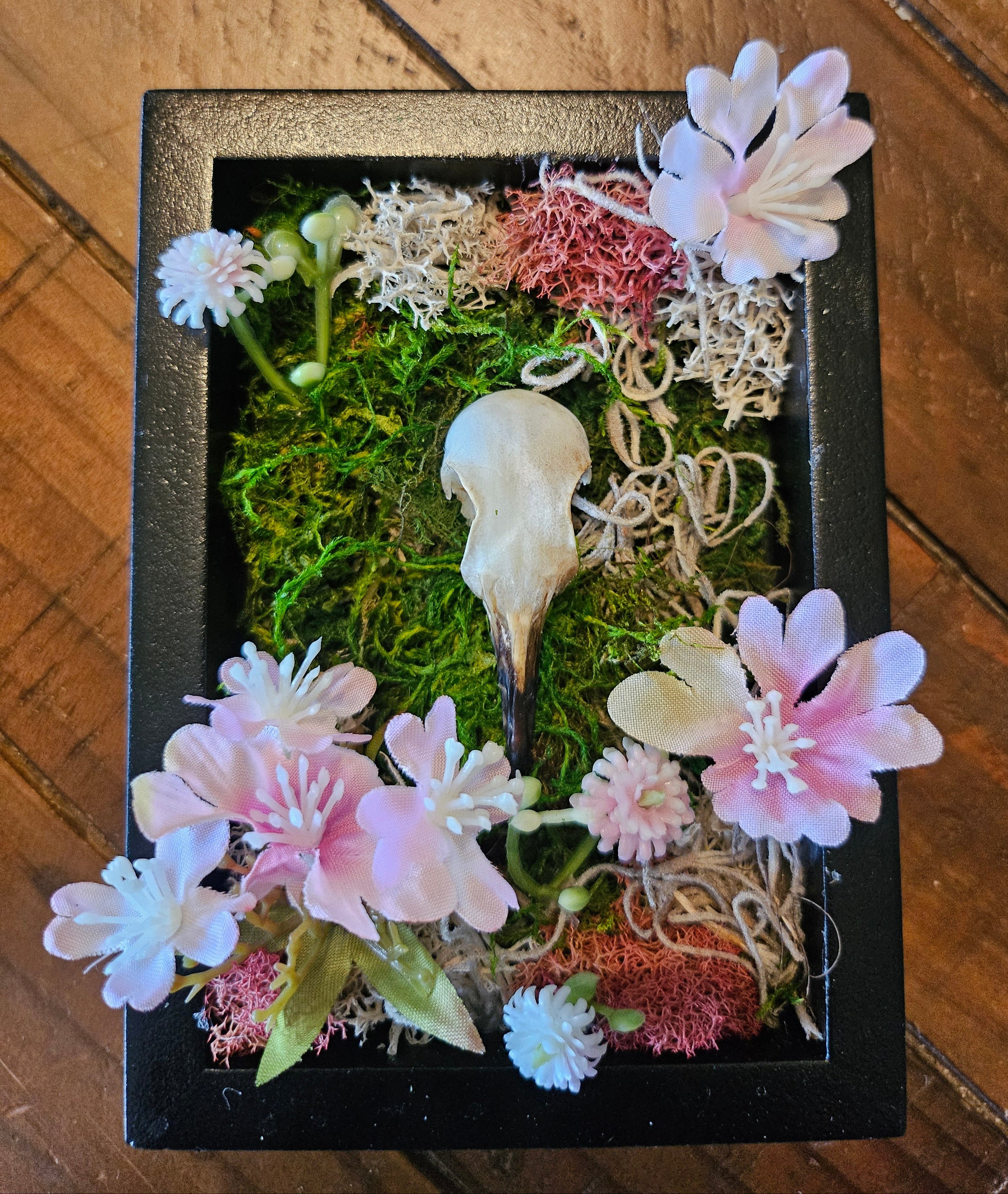 Reclamation Relics are 3.5" x 5" taxidermy shadow boxes with moss, flowers, bees, skulls, and wasp nests—haunting miniatures of nature&