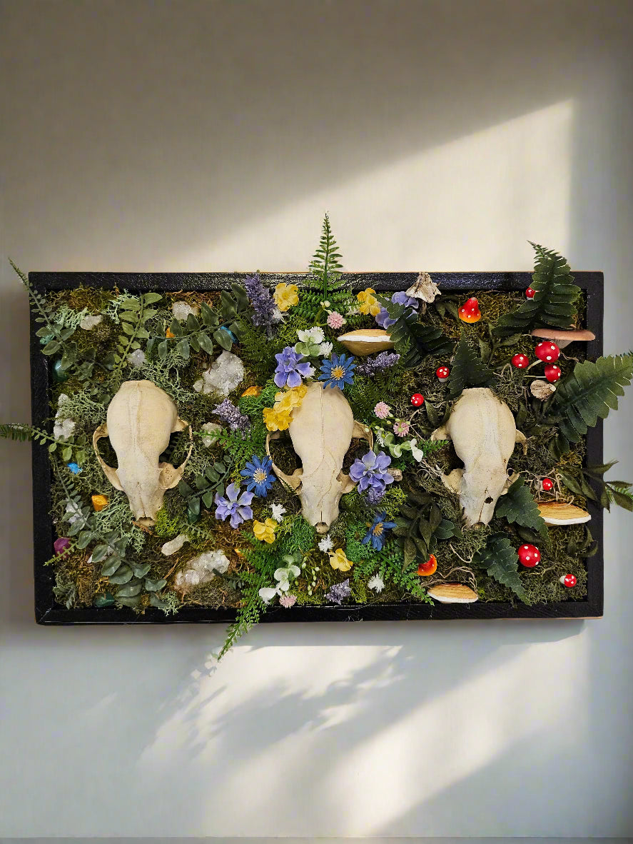 Three Sisters by Ryan Doran is a 12" x 18" preserved mixed-media moss art installation featuring three raccoon skulls surrounded by flowers, mushrooms, and trinkets. Framed in sleek black wood, it symbolizes love, memory, and legacy, blending natural beauty with timeless storytelling. Low-maintenance and visually striking.