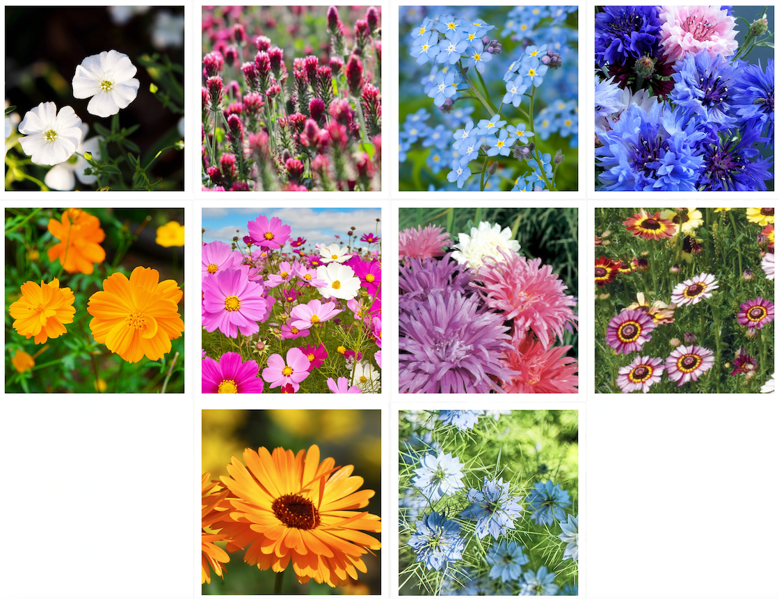 All You Need Is Love bouquet wildflower seed packets. Romantic cut-flower mix with colorful blooms — perfect for weddings, favors, and summer gardens.