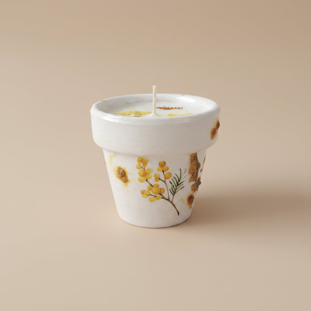 Mother’s Day gift set with live plant, floral terra cotta pot, soy coconut candle, and pressed flower card