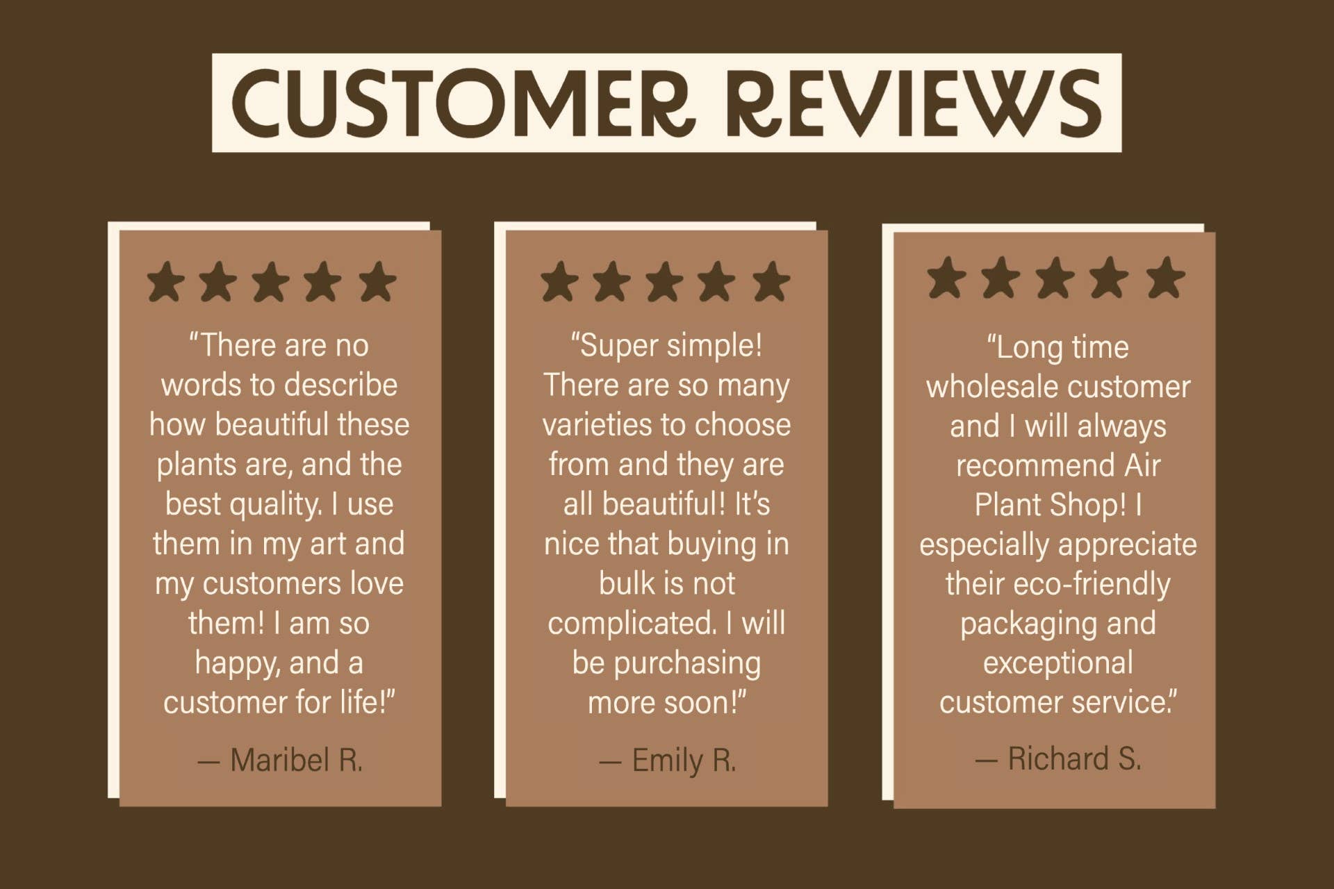 Juncea, Tillandsia Air Plants