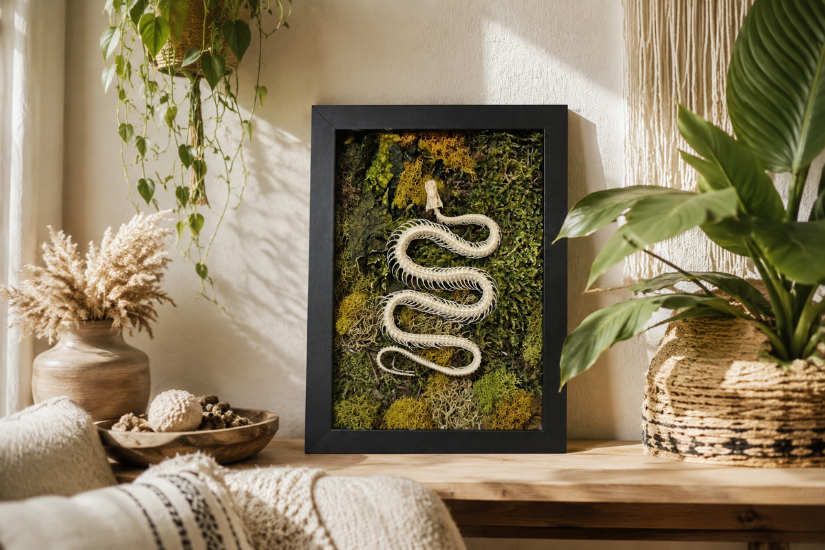 Unique Indoor Decor Ideas That Blend Art and Nature