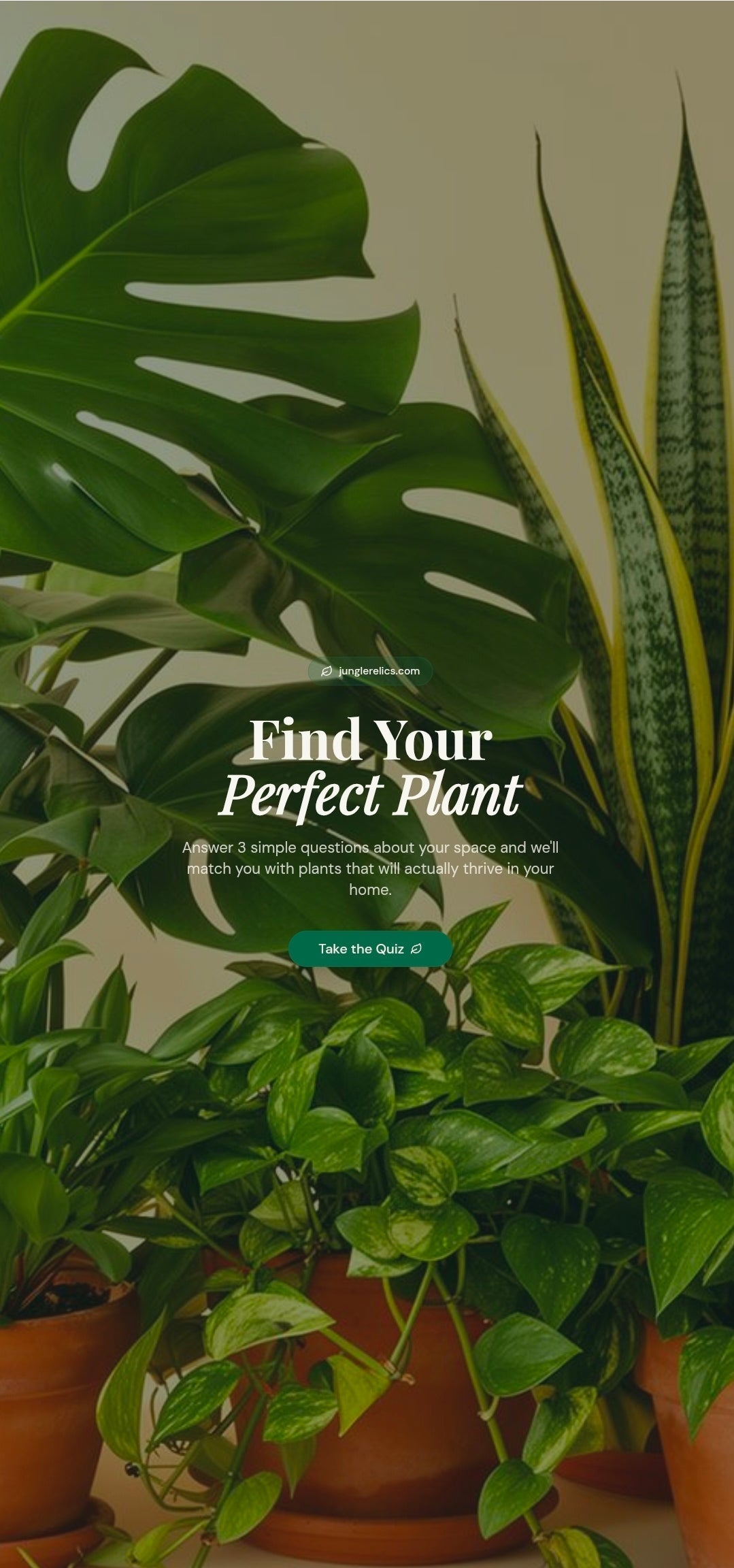 Find Your Perfect Plant: Houseplant Personality Quiz