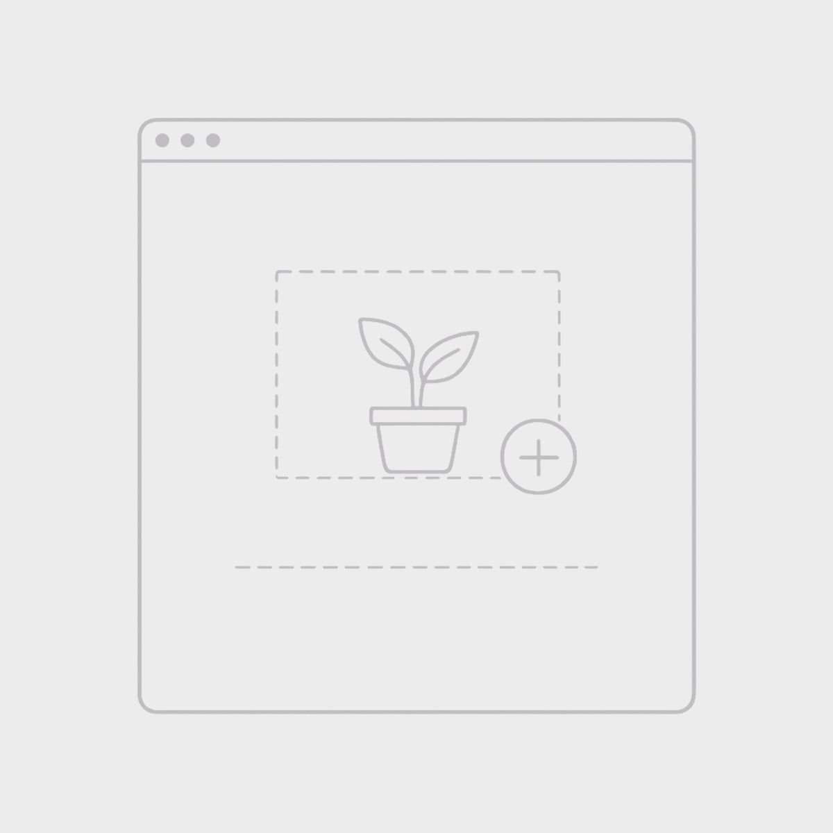 OrchidBox - Philodendron Hederaceum Oxycardium variegata TC