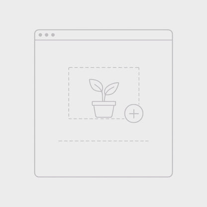 OrchidBox - Philodendron Hederaceum Oxycardium variegata TC