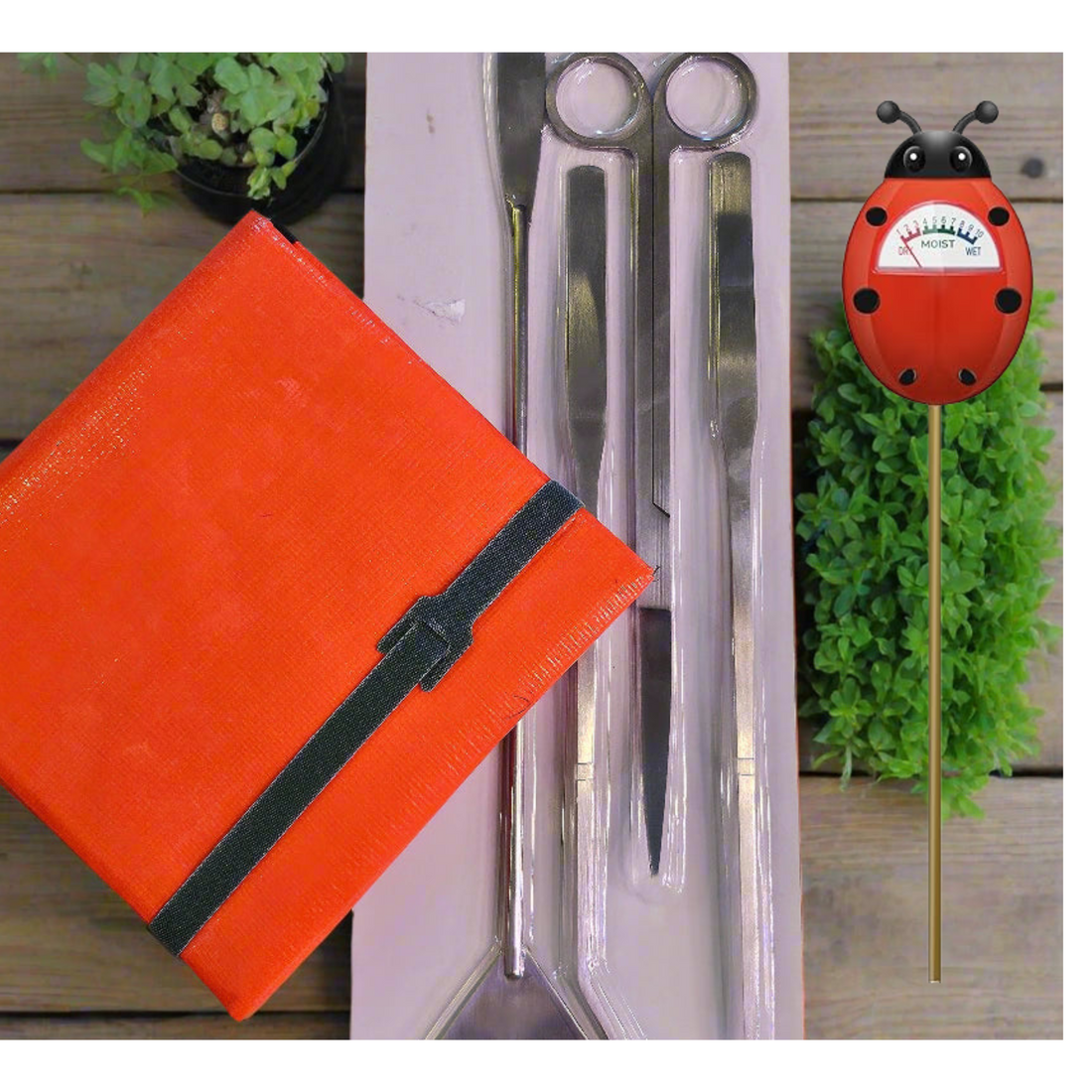 Essential Plant &amp; Terrarium Tool Bundle
