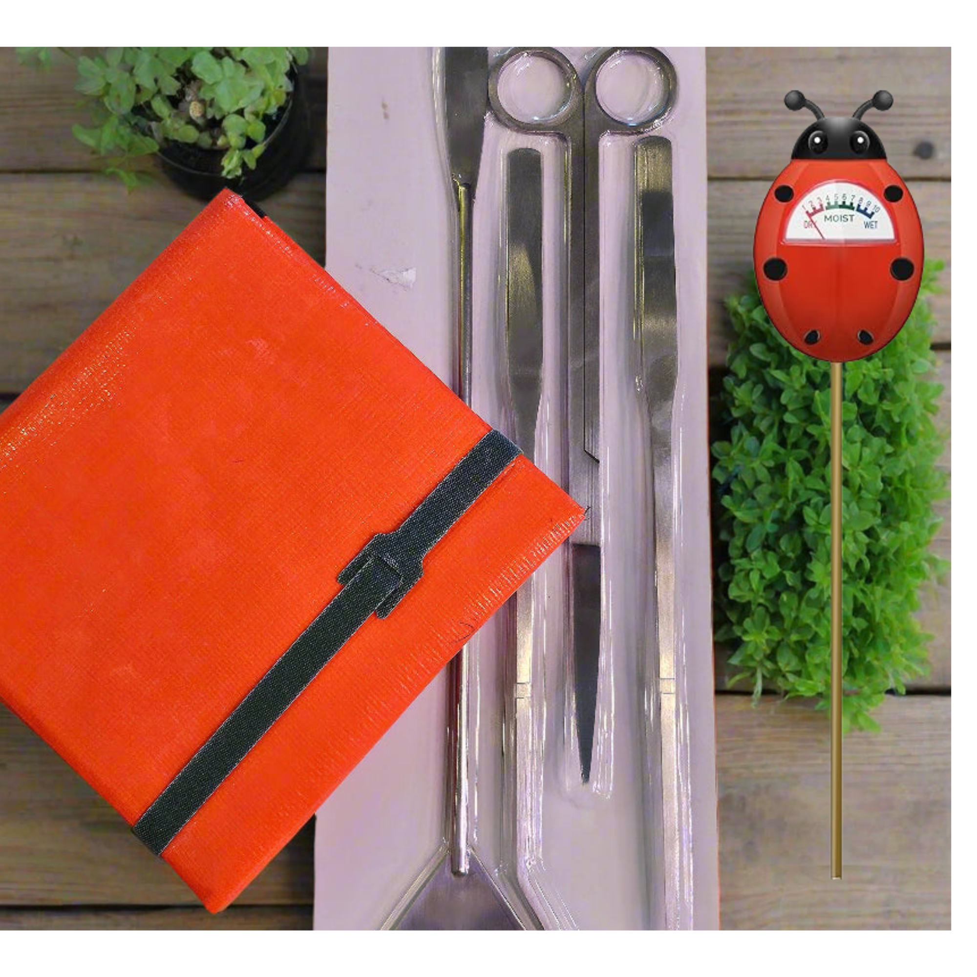 Essential Plant &amp; Terrarium Tool Bundle
