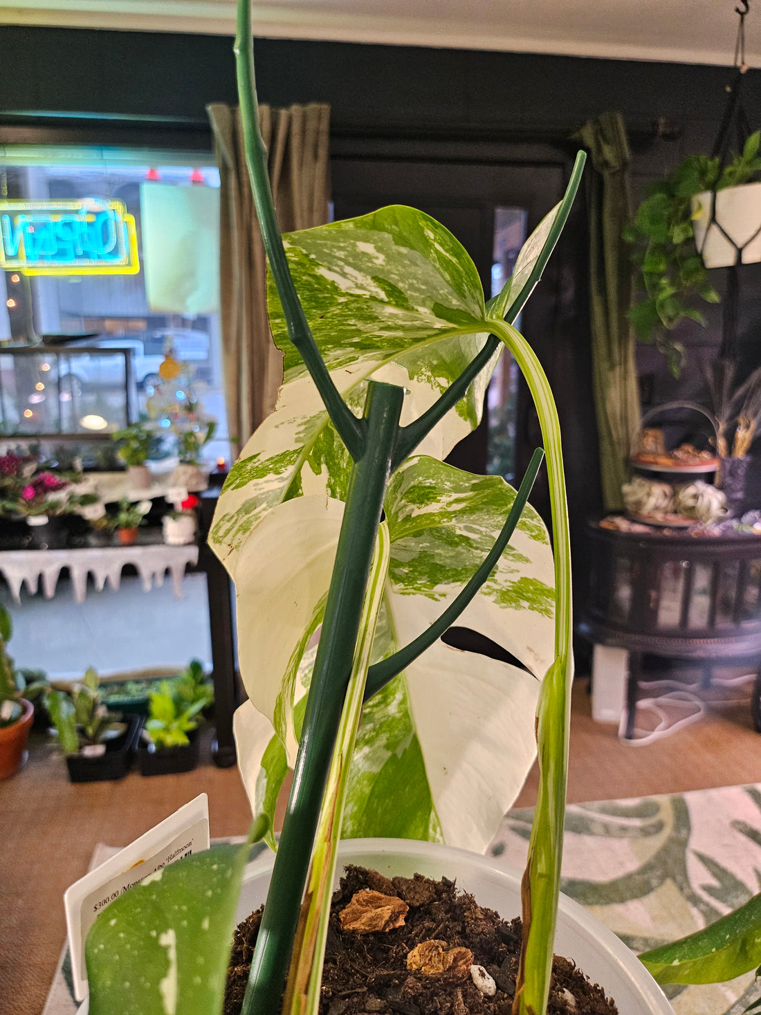 Stackable Plant Support Stakes, 17&quot; Dark Green