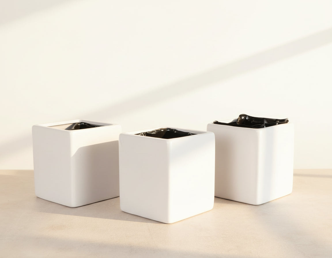 Sky Blue ceramic wall planter for succulents, air plants, and 3" pots. Modern wall-mounted design adds bright, space-saving style to any indoor plant display.