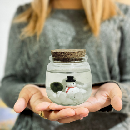 Holiday Marimo Moss Ball Terrariums