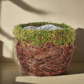 Add woodland charm with this 7" mossy pot, lined with plastic for easy care. Fits 6" plants perfectly—rustic, whimsical, and nature-inspired décor.