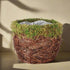 Add woodland charm with this 7" mossy pot, lined with plastic for easy care. Fits 6" plants perfectly—rustic, whimsical, and nature-inspired décor.