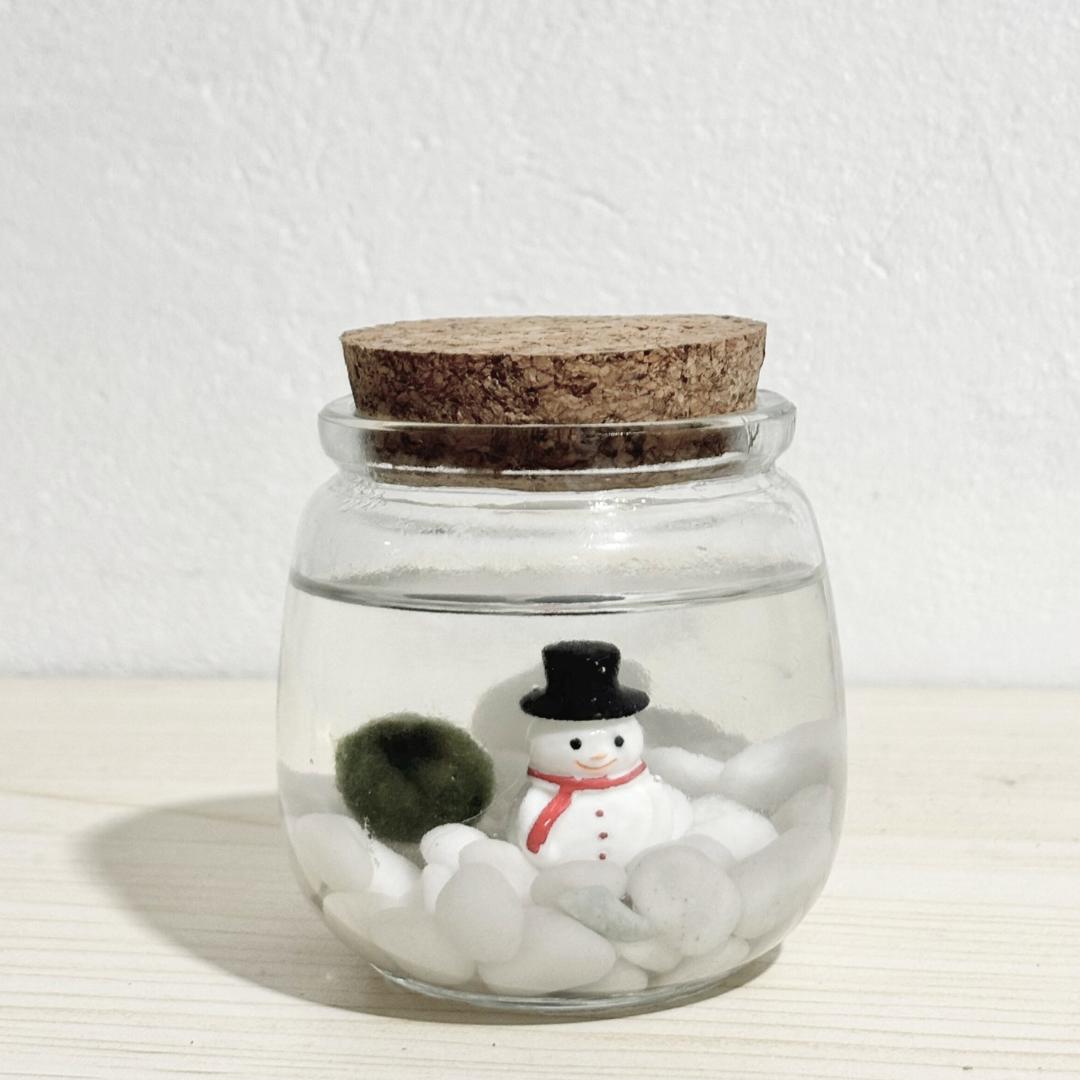 Holiday Marimo Moss Ball Terrariums