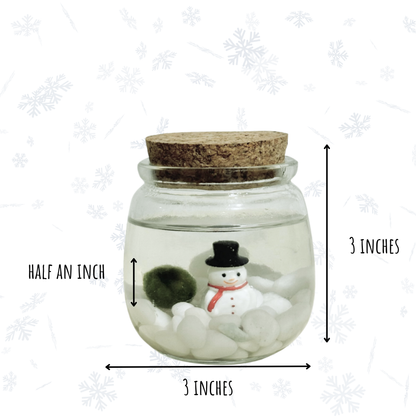 Holiday Marimo Moss Ball Terrariums