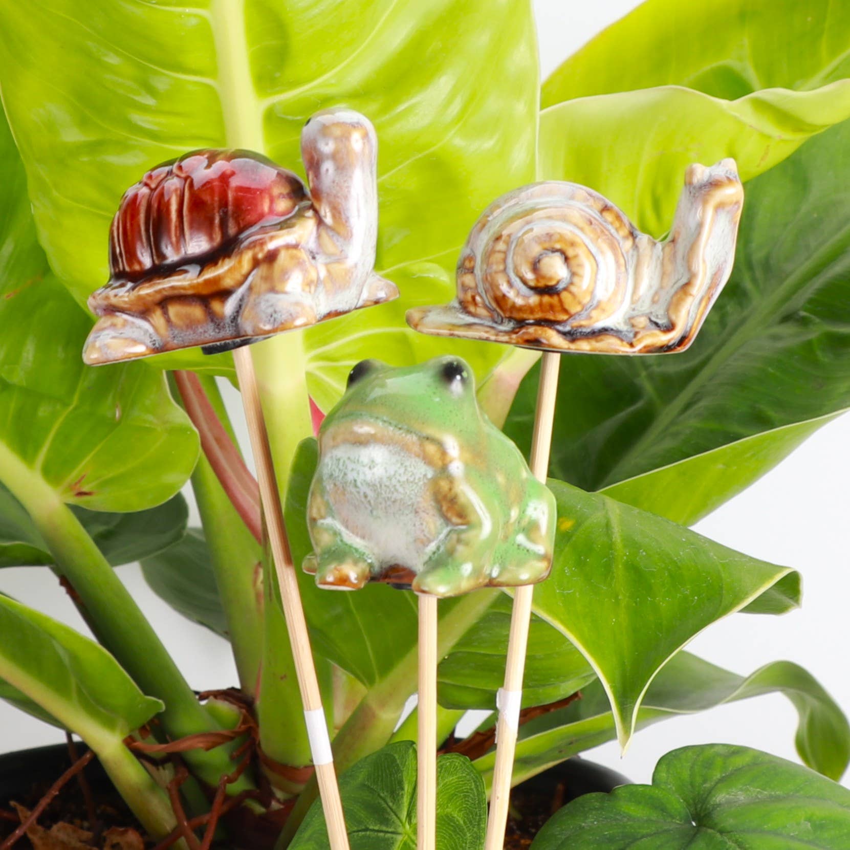 Whimsical ceramic animal plant stakes add charm to any pot or garden. Three cute designs, each 3" wide on a 9" wooden stake. Perfect for gifting—plants not included.