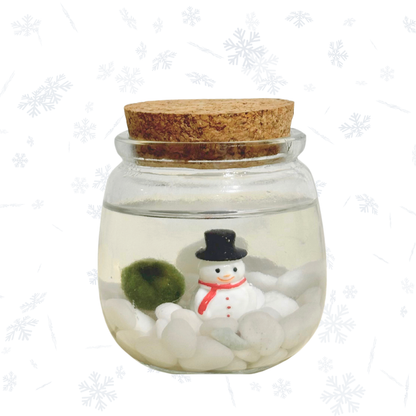 Holiday Marimo Moss Ball Terrariums