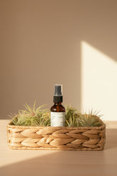 Air plant soak, fertilizer, and mist with aloe, kelp, and neroli hydrosol. Provides clean hydration, supports growth, and keeps Tillandsia healthy and vibrant.