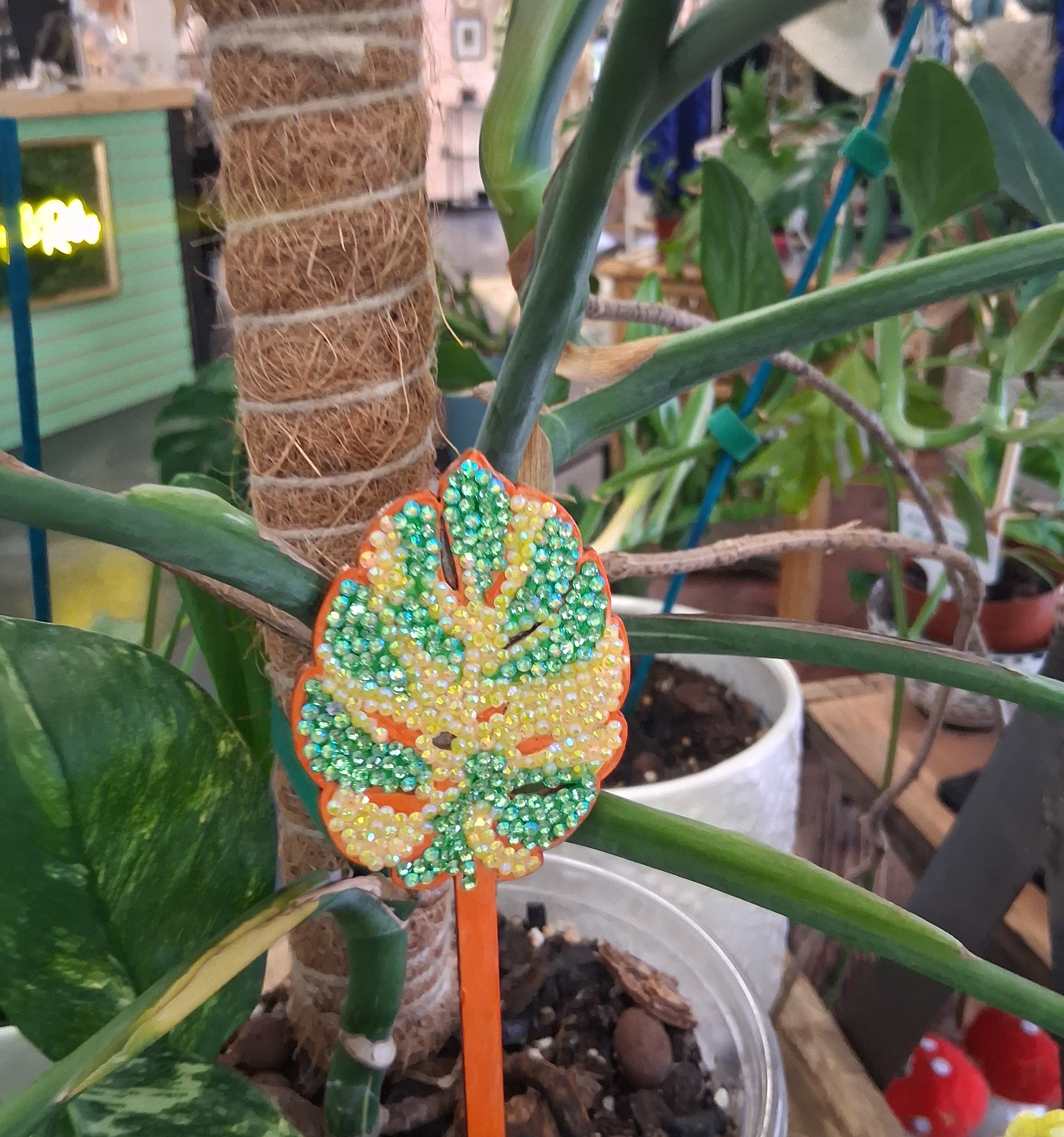Hand-painted with sparkling details. Choose Monstera, Albo, Aurea or Thai Constellation for unique plant décor.