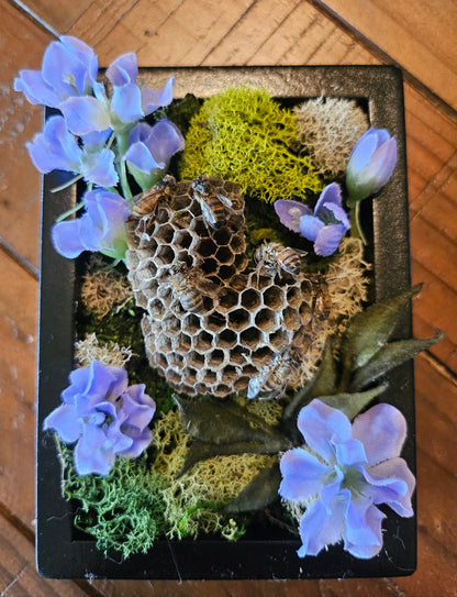 Reclamation Relics are 3.5&quot; x 5&quot; taxidermy shadow boxes with moss, flowers, bees, skulls, and wasp nests—haunting miniatures of nature&