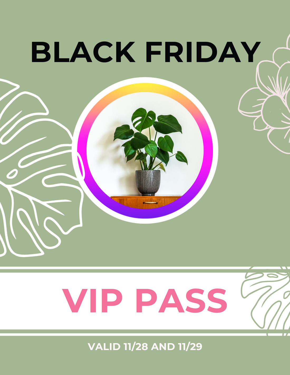 VIP Black Friday Event